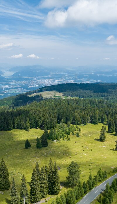 Straße mit Wiese und Wald und Bergen im Hintergrund | © villacher-alpenstrasse.at/Stabentheiner